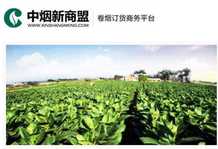 中烟新商盟卷烟订货商务平台-Ebpay创新